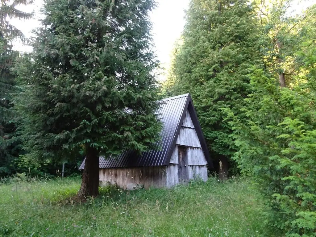 Мойковац: Holiday Home Crkvina