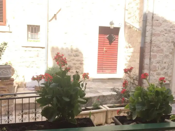 Доброта: Apartment Ozana