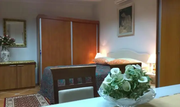 Доброта: Apartment City Garden