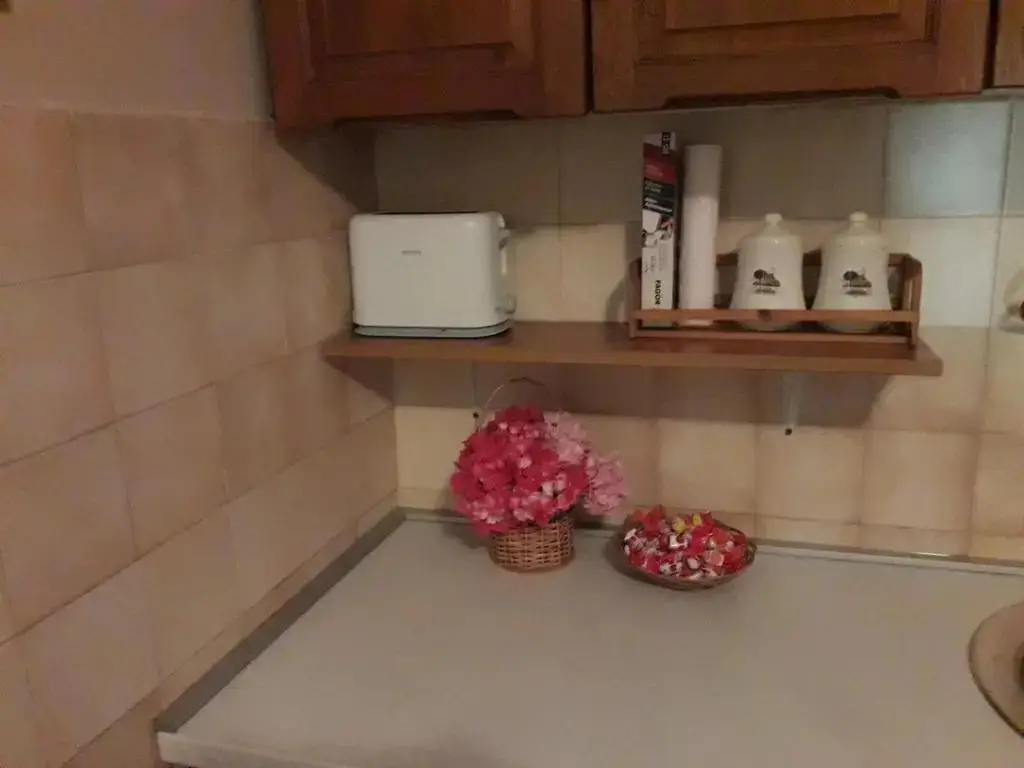 Бечичи: Apartments Ant
