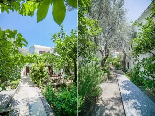 Петровац: Rooms Garden