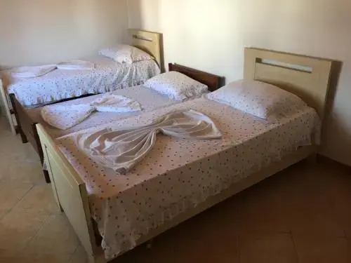 Горни Стой (Штойи и Эпермь): Holiday Home Zenit