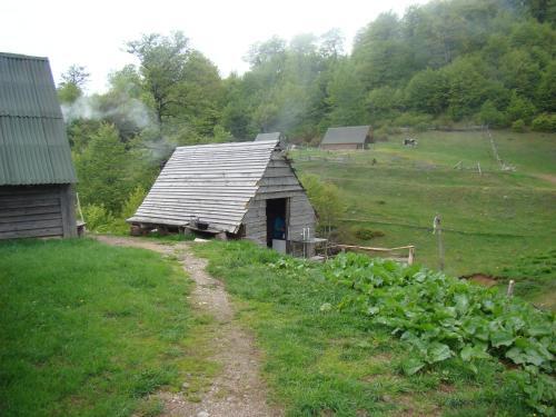 Мойковац: Eco Village Goles