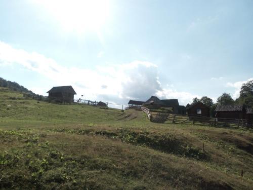 Мойковац: Eco Village Goles