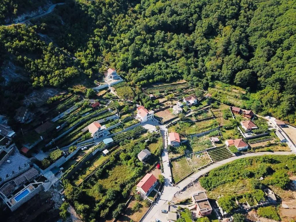Вирпазар: Country House Djurisic