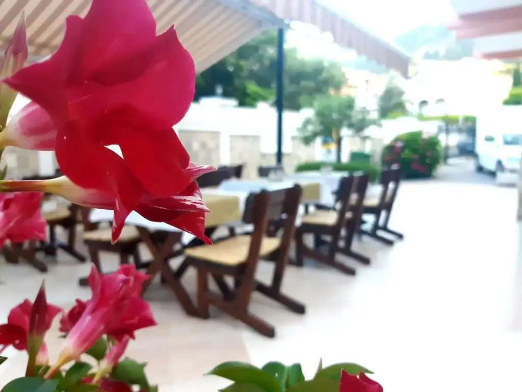 Будва: Garni Hotel Koral