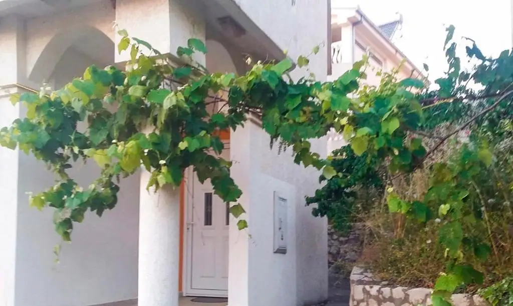 Бусат: Villa Blanca