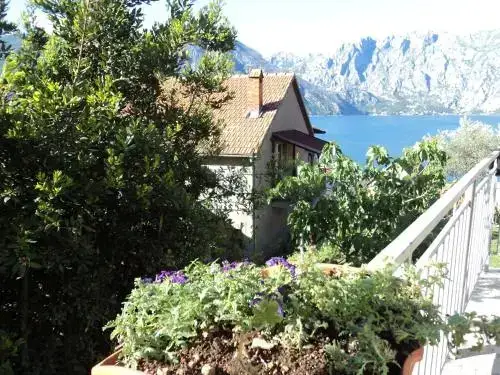 Доброта: Guest House Pajovic