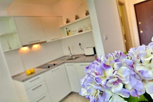 Тиват: Dimitris Apartments