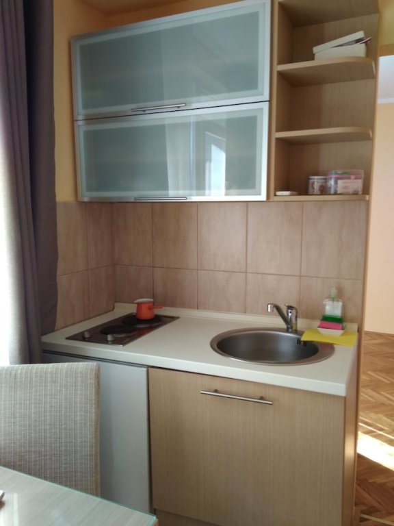 Херцег-Нови: Apartments Vila Kamelija