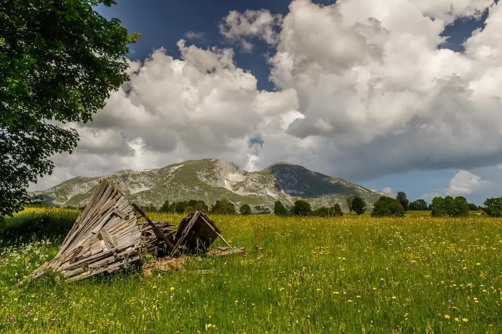 Каньон Tara: Eco Village Highlander