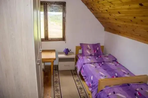 Жабляк: Zabljak Chalet Dacic