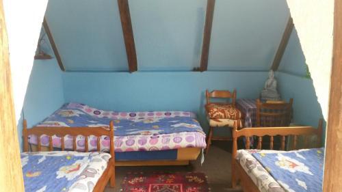 Каньон Tara: Guesthouse Nedajno