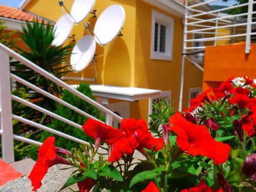 Бульярица: Apartments Villa Relax