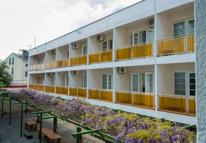 Тиват: Hotel Mimoza