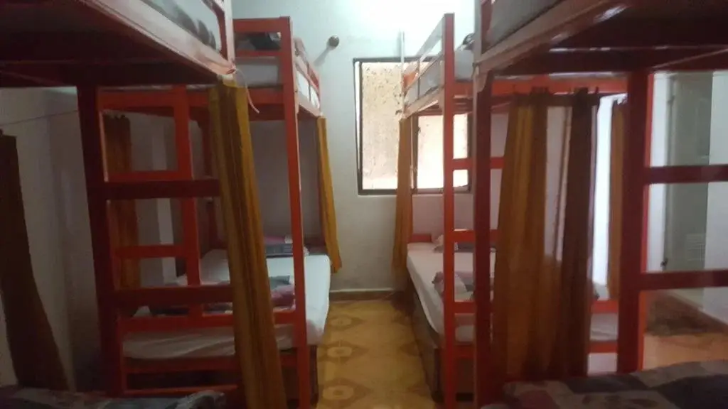 Tiny Tigers Hostel — фото 1