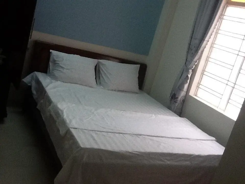 Дананг: Hotel Apple