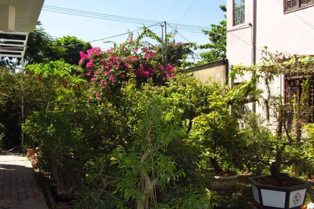Charming Homestay — фото 1