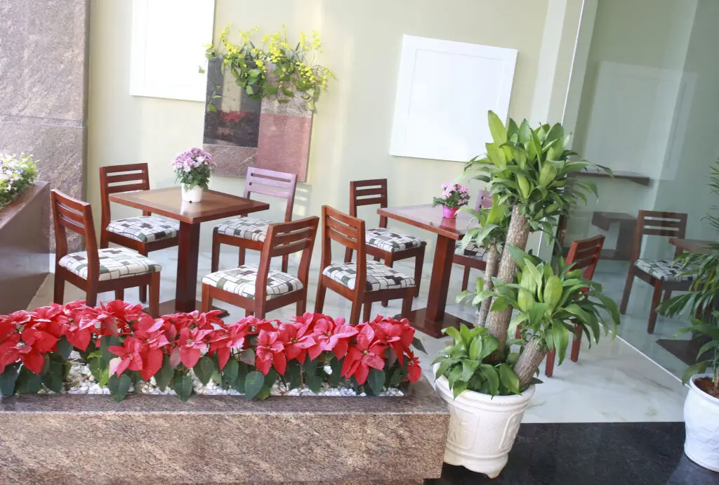 Дананг: Green House Hotel