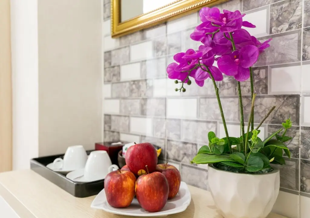 Хошимин: Galaxy Boutique Hotel