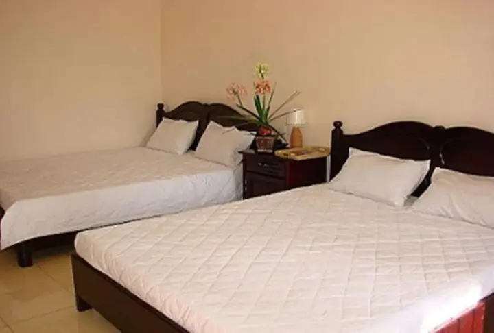 Хайфон: Homestay Thanh Long