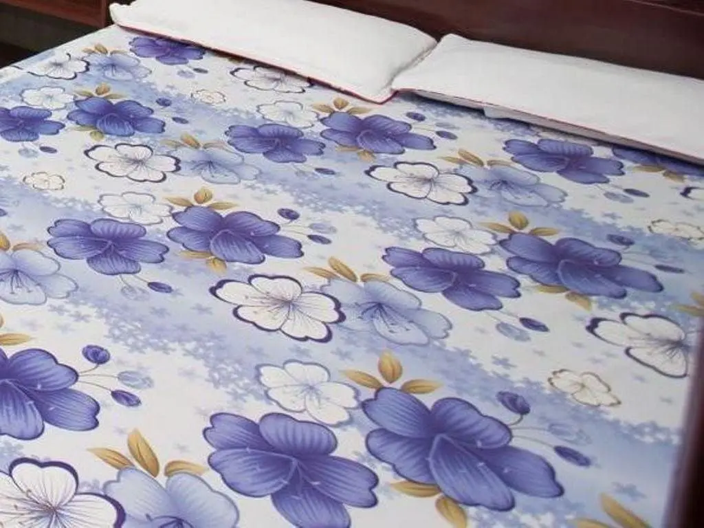 Хюэ: Hoang Anh Guest House