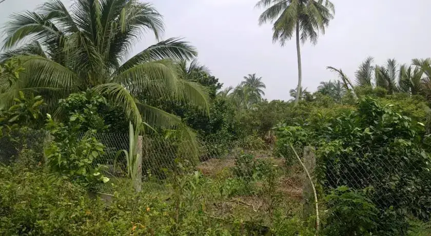 Митхо: Hong Thai Homestay