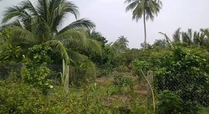 Митхо: Hong Thai Homestay