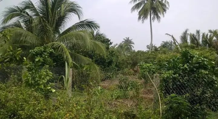 Митхо: Hong Thai Homestay