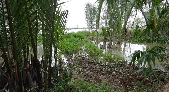 Митхо: Hong Thai Homestay