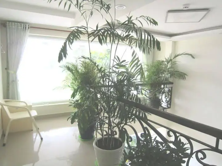 Далат: Thanh Loan Hotel