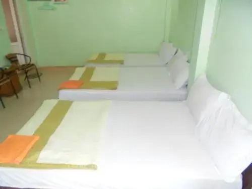 Хайфон: Trang Anh Sea View Hotel