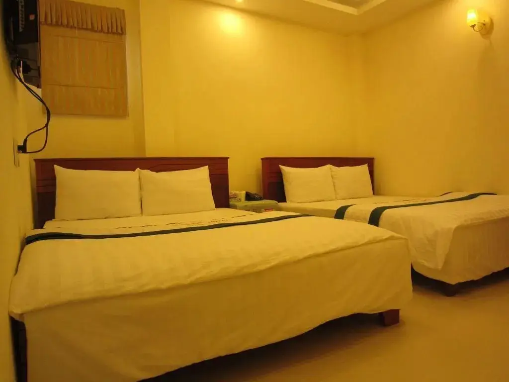 Хошимин: Green Ruby Hotel