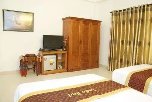 Дананг: Loseby Hotel