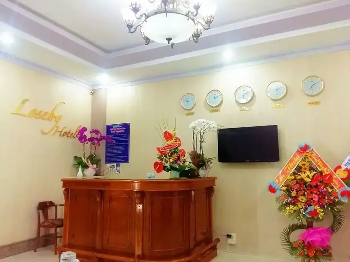 Дананг: Loseby Hotel