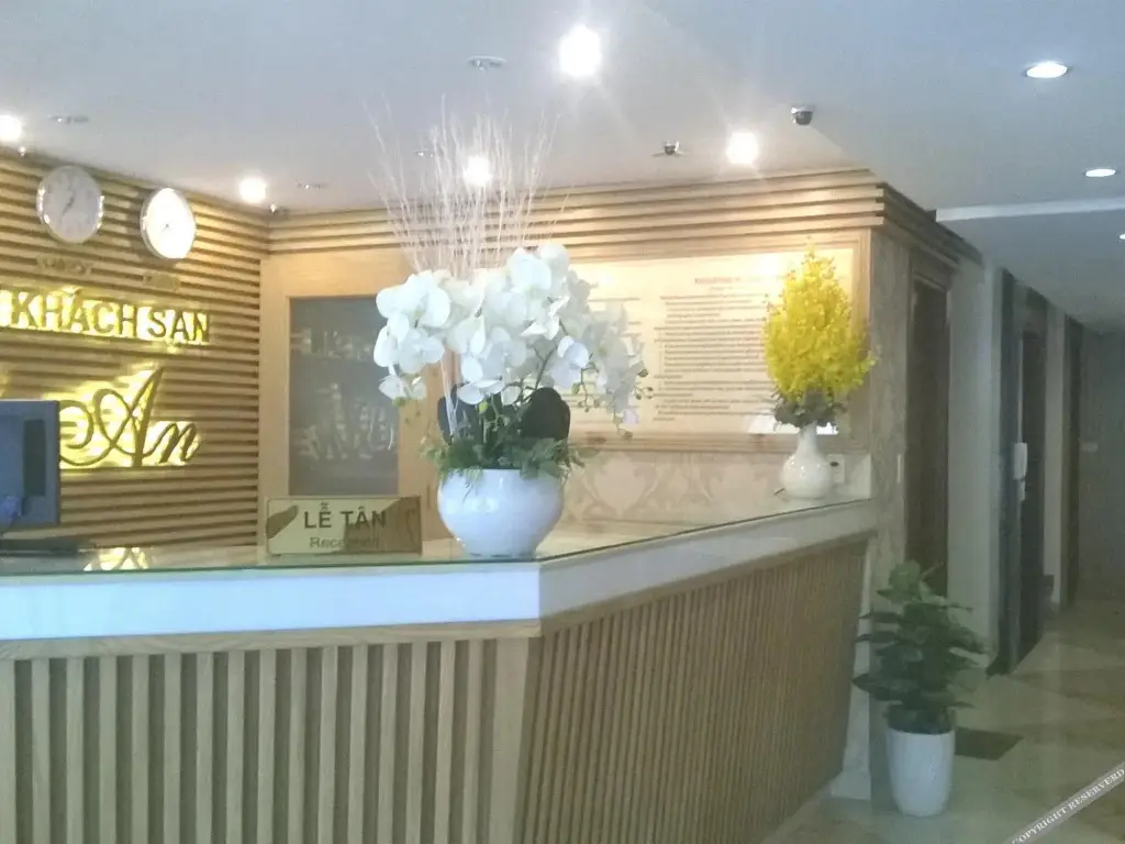 Хошимин: Thanh An Hotel