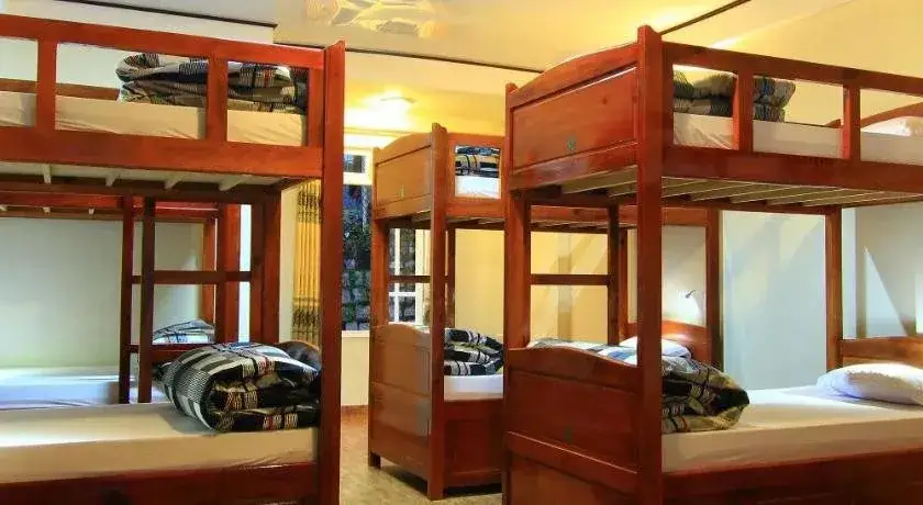 Далат: Wolfpack Hostel Dalat