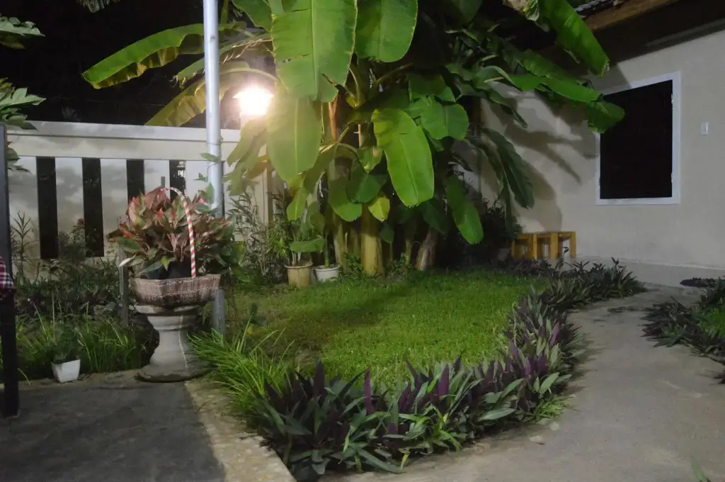 Хойан: Joy Hoi An Homestay