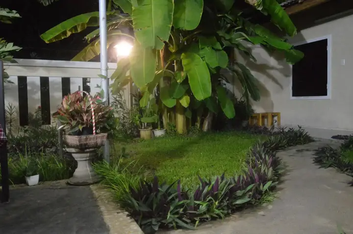 Хойан: Joy Hoi An Homestay