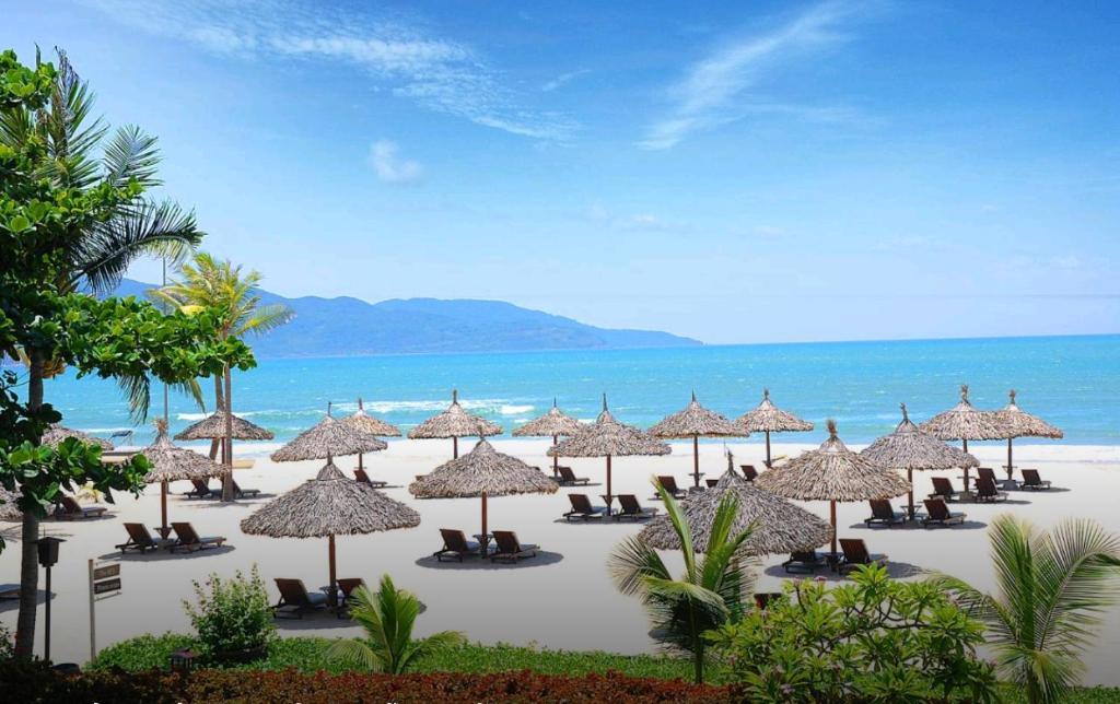 Дананг: Motel Thanh Long