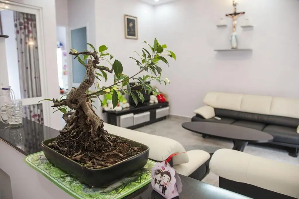 Далат: Dalat Jungle View Homestay