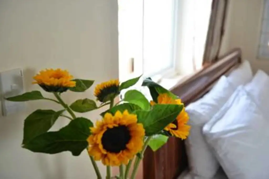 Дананг: Vien Dong 2 Guesthouse