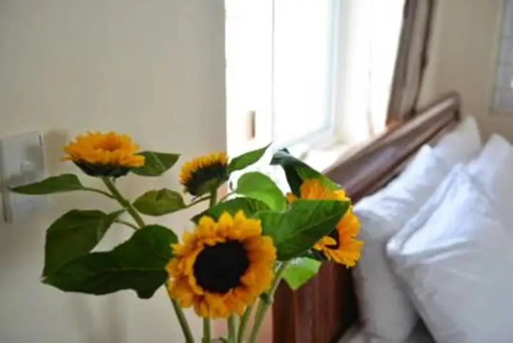 Дананг: Vien Dong 2 Guesthouse