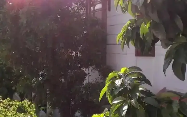 Дананг: Minh Chau Hostel