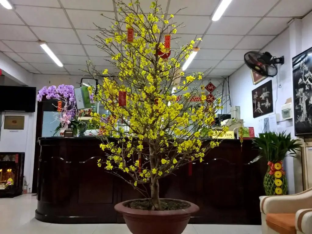 Кантхо: Quang Sang Hotel