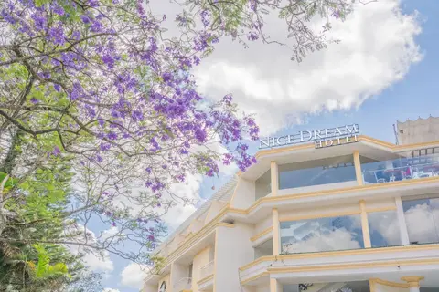 Nice Dream Dalat Hotel — фото 1