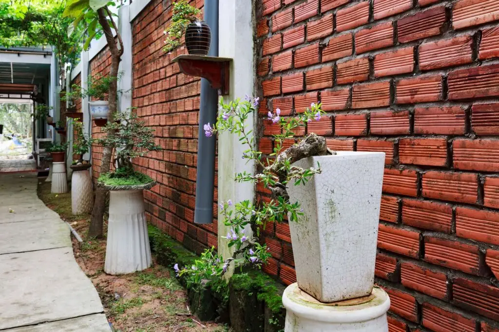 остров Фукуок: Ngoc Qui Bungalow