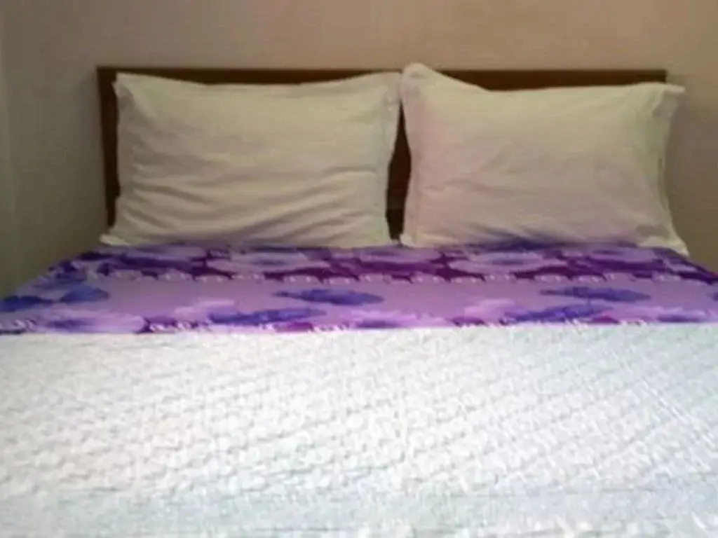 Хюэ: Thanh Hang Guesthouse