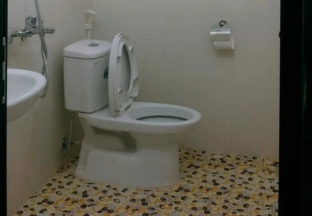 Шапа: Asiana Sapa Hotel
