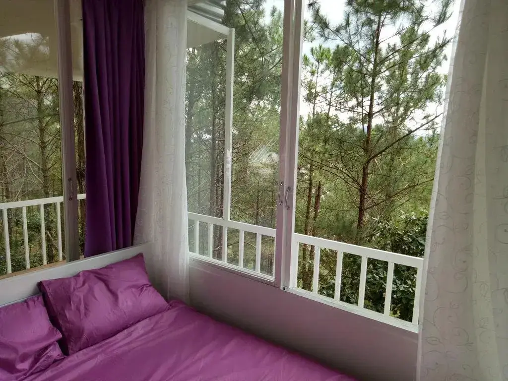 Далат: Pine Hill Homestay Dalat